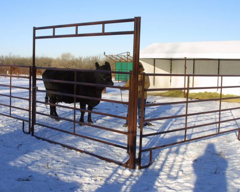 奶牛和牧场面板