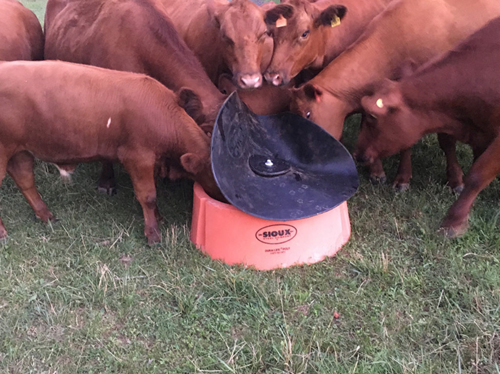 Heavy Duty Ground Mineral Feeder Sioux Steel Company