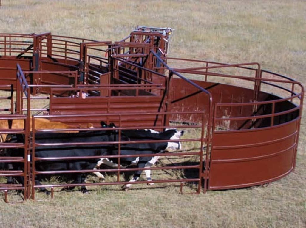 HiQual Crowding Tub | Sioux Steel Company