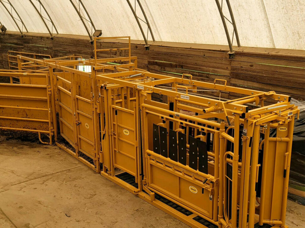 Sioux Steel Squeeze cattle Chute gate and palp cage setup