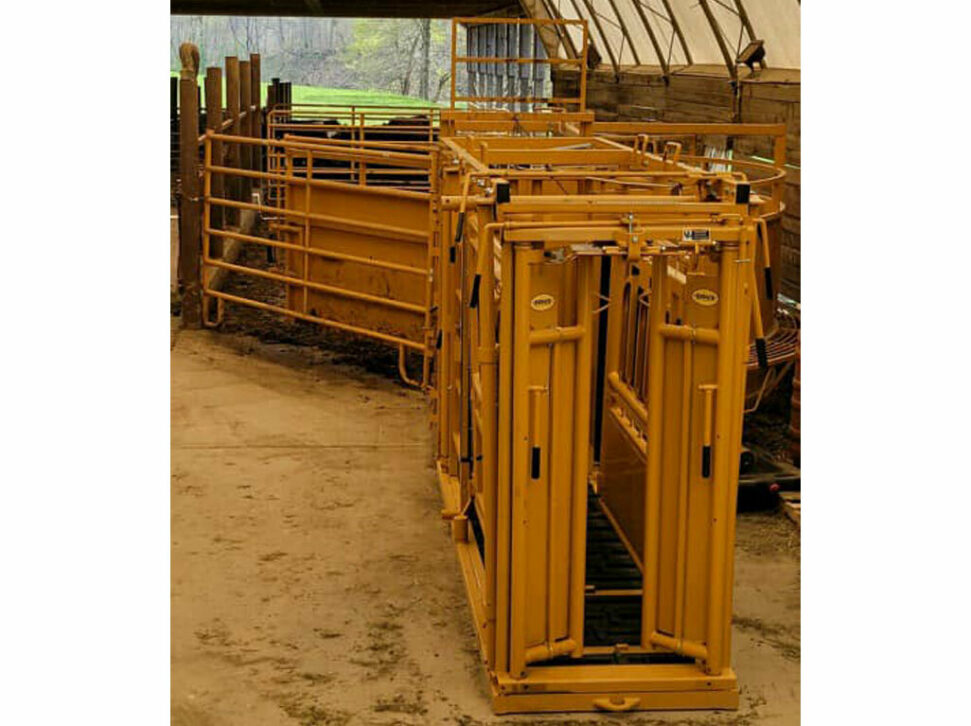 Sioux Steel Squeeze cattle Chute sorting gate