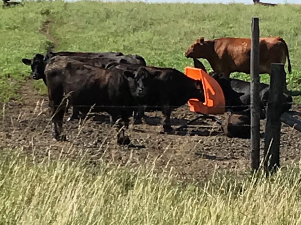 Upright Mineral Feeder Sioux Steel Company